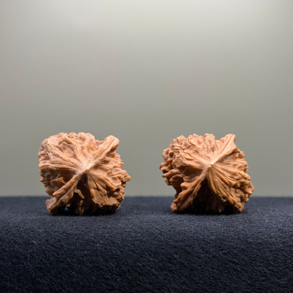 First Love Wenwan Walnut · 33mm · Natural · Entry Ritual