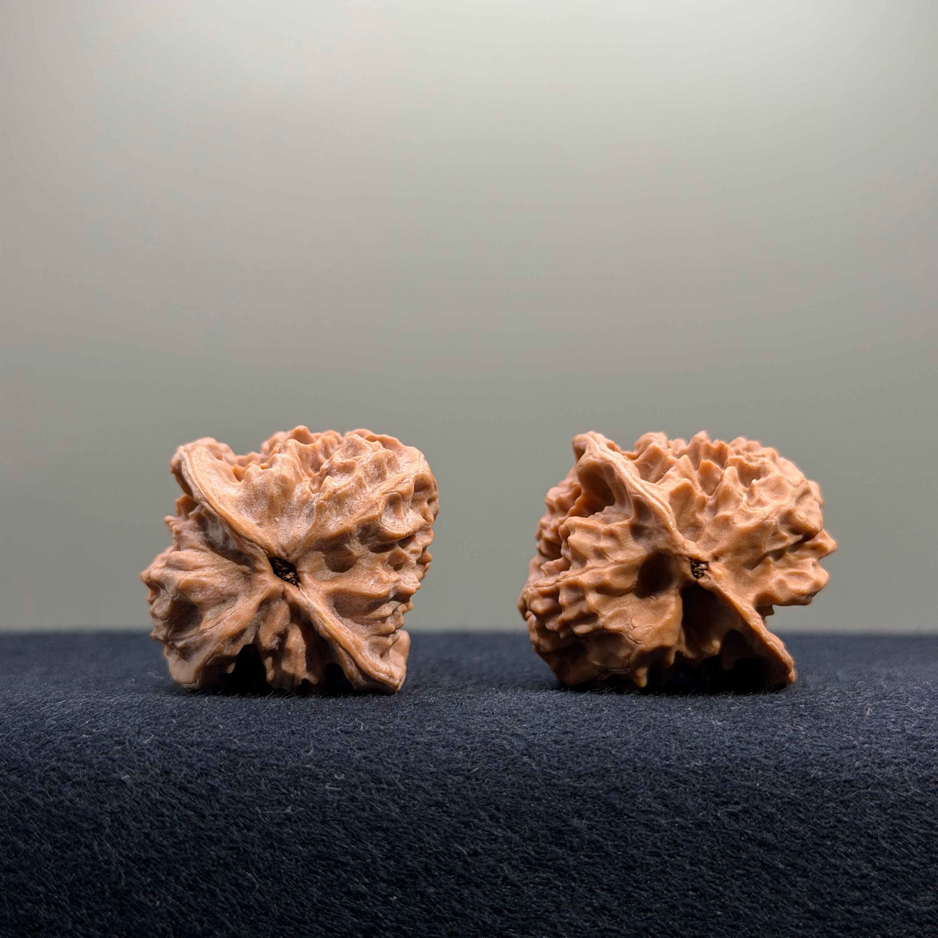 First Love Wenwan Walnut · 33mm · Natural · Entry Ritual