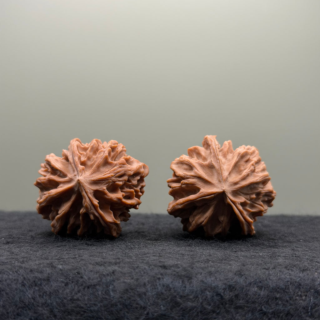 Three-Ridges Wenwan Walnut