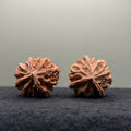 Three-Ridges Wenwan Walnut
