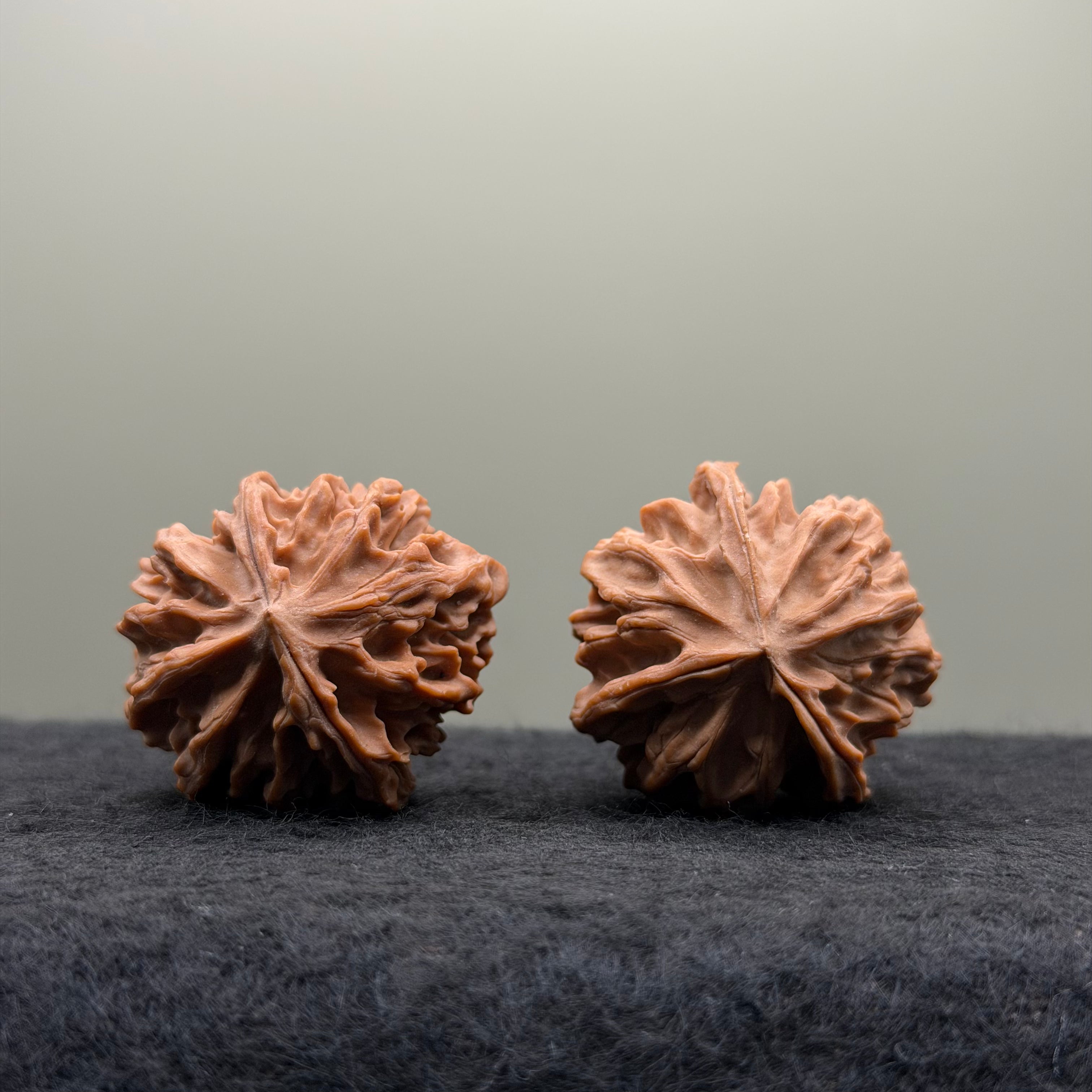 Three-Ridges Wenwan Walnut