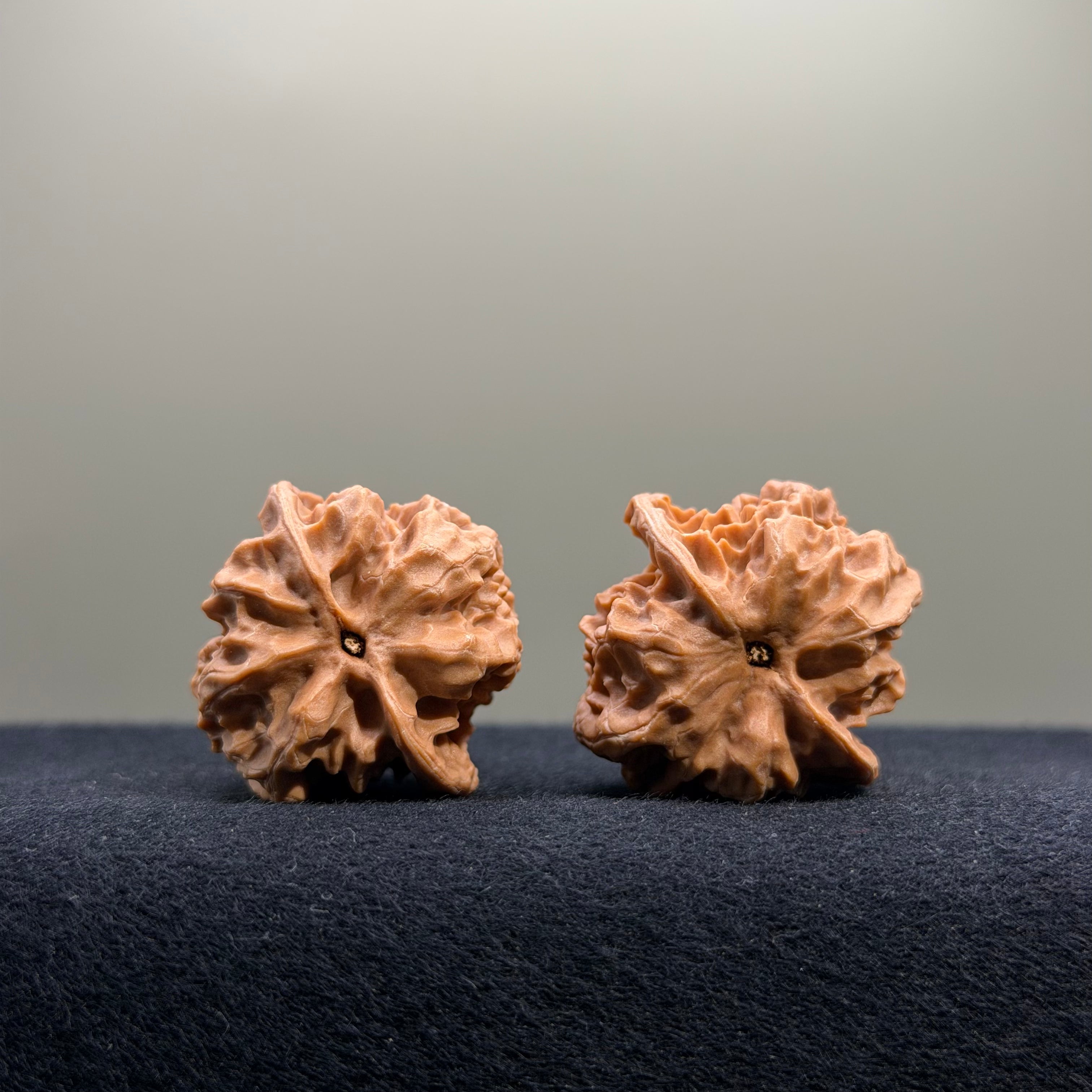First Love Wenwan Walnut · 32mm · Natural · Entry Ritual