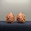 First Love Wenwan Walnut · 27mm · Natural · Entry Ritual