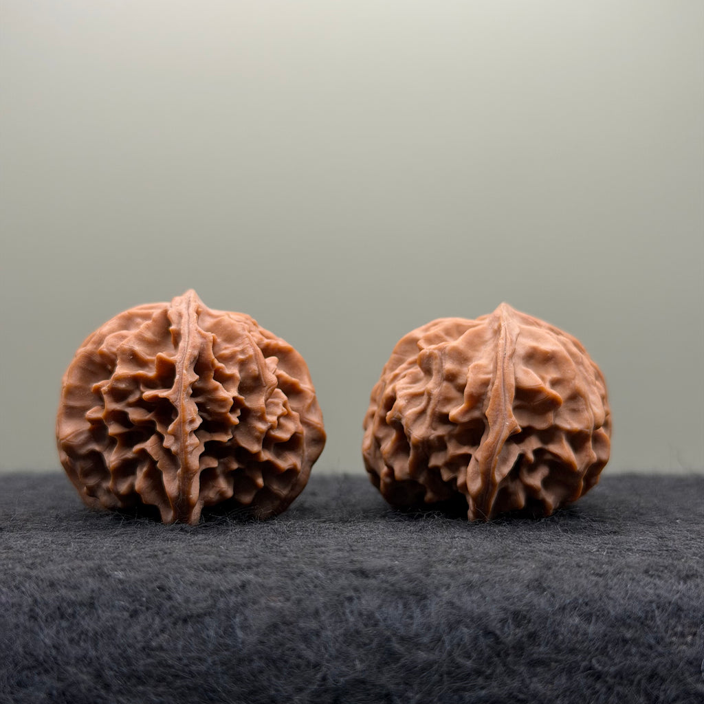 Three-Ridges Wenwan Walnut