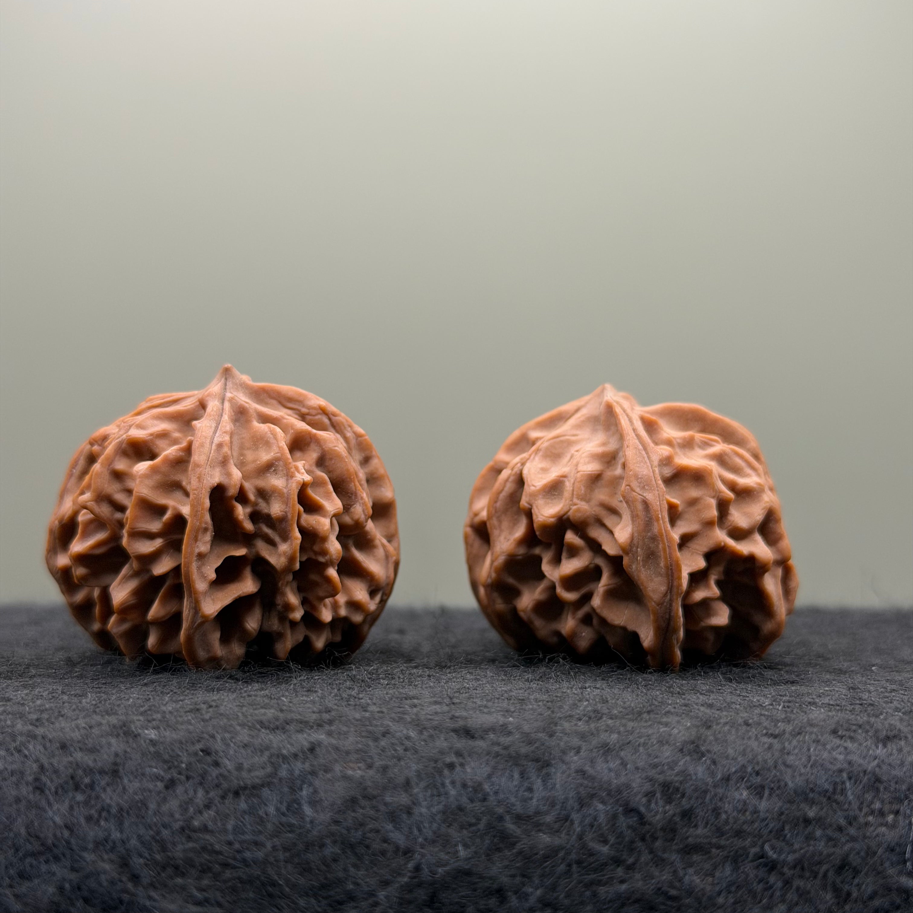 Three-Ridges Wenwan Walnut