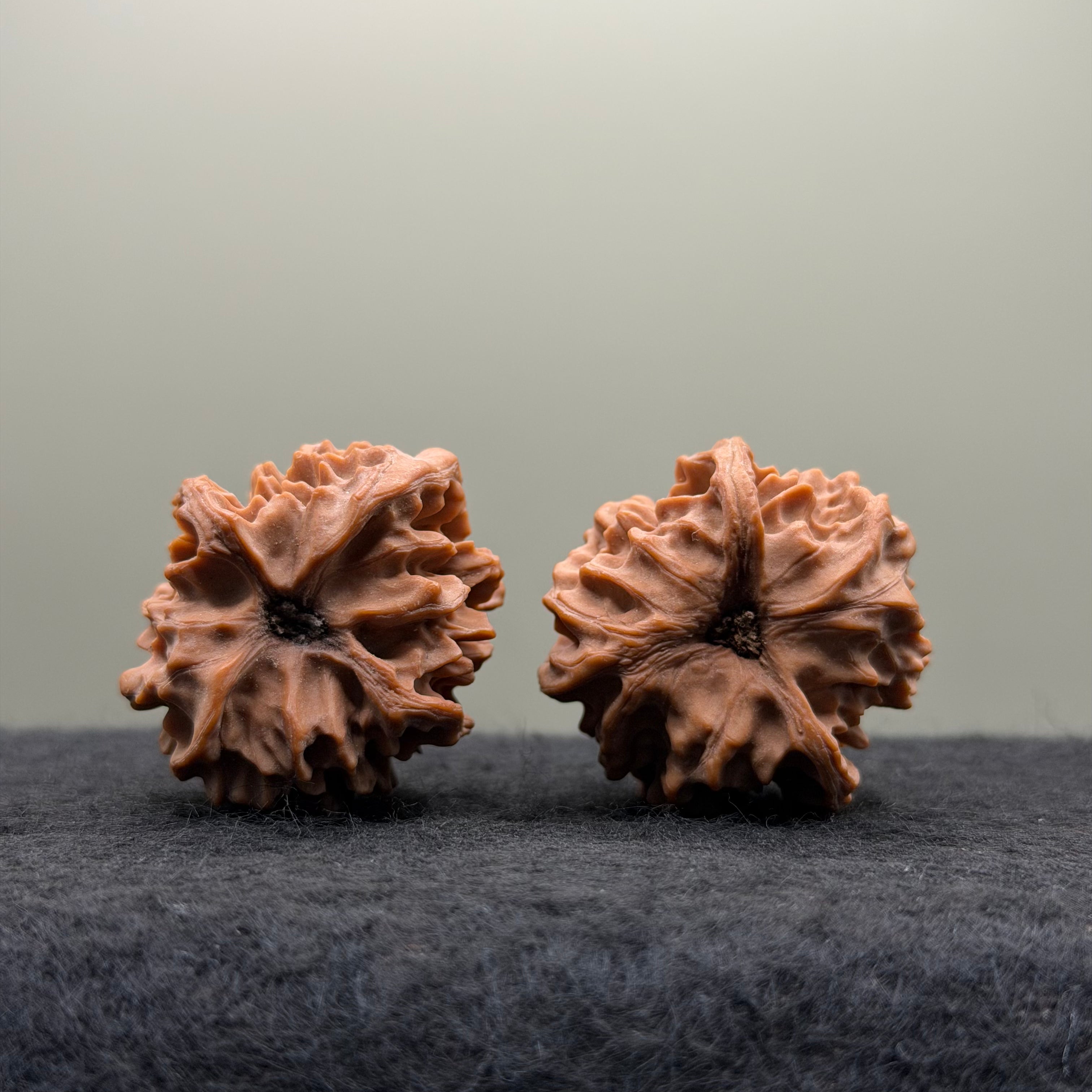Three-Ridges Wenwan Walnut