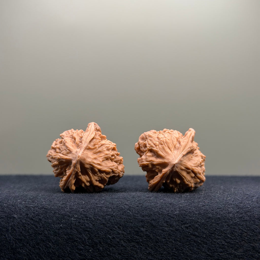 First Love Wenwan Walnut · 27mm · Natural · Entry Ritual