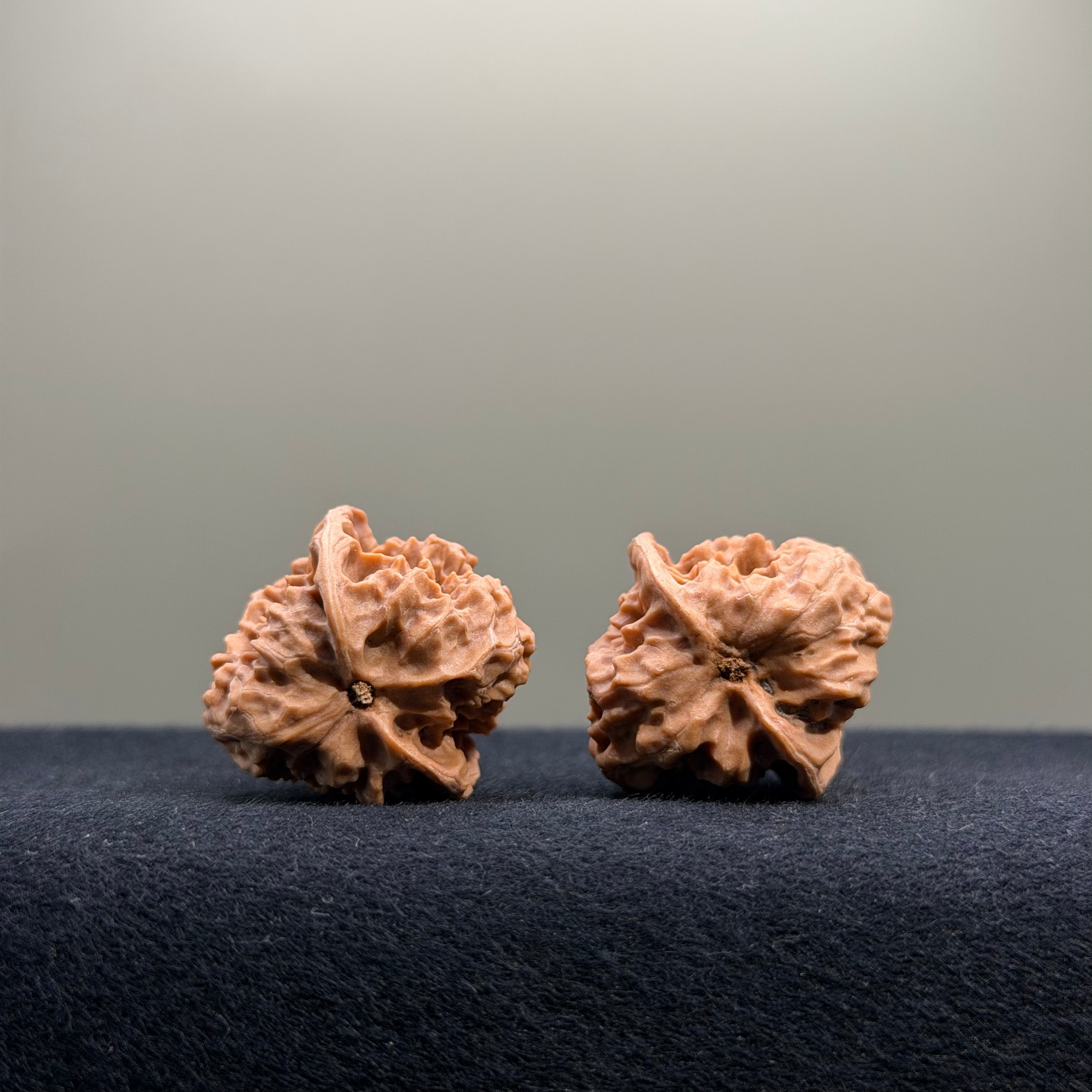 First Love Wenwan Walnut · 27mm · Natural · Entry Ritual