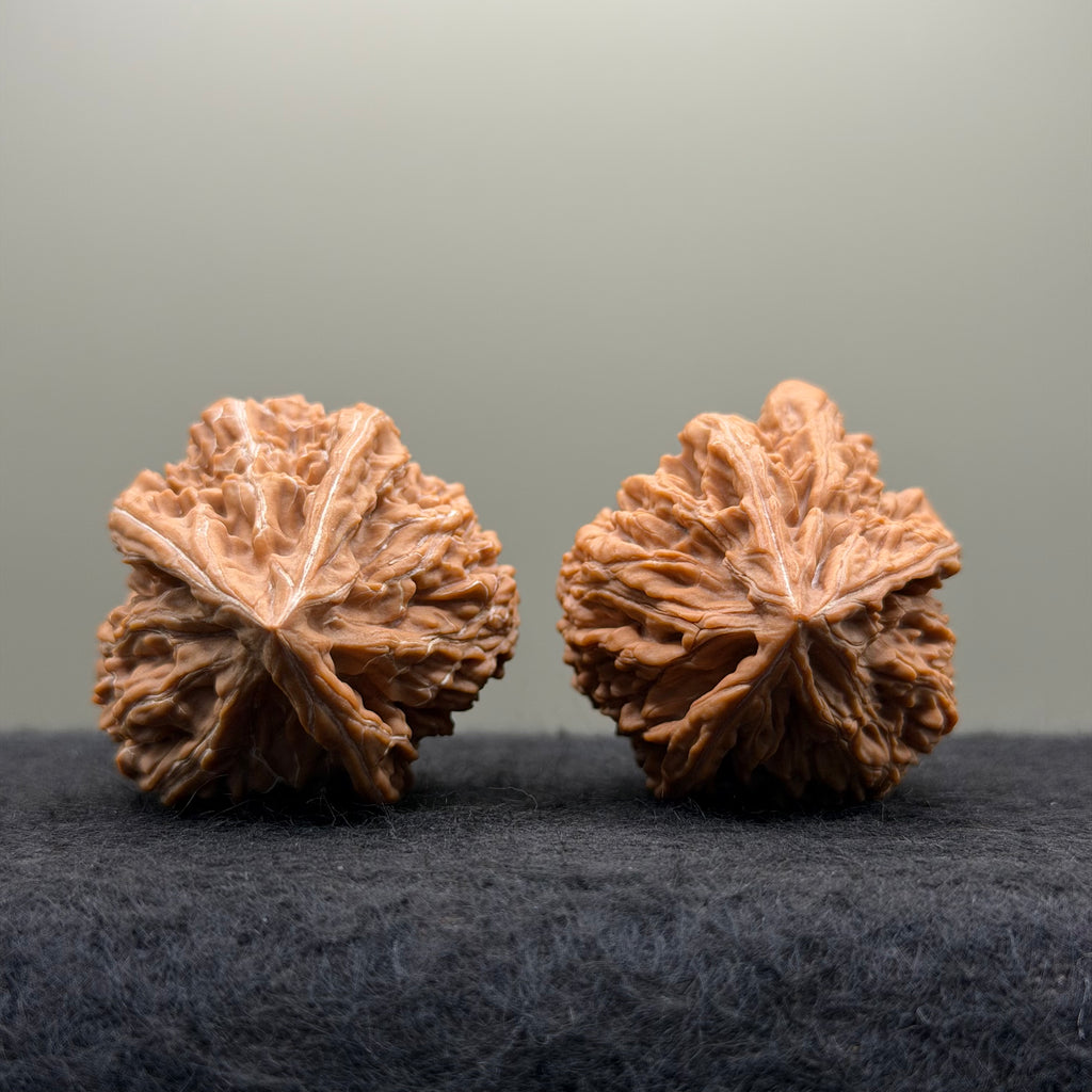 Wenshan "Y" Shape Three-Ridges Wenwan Walnut