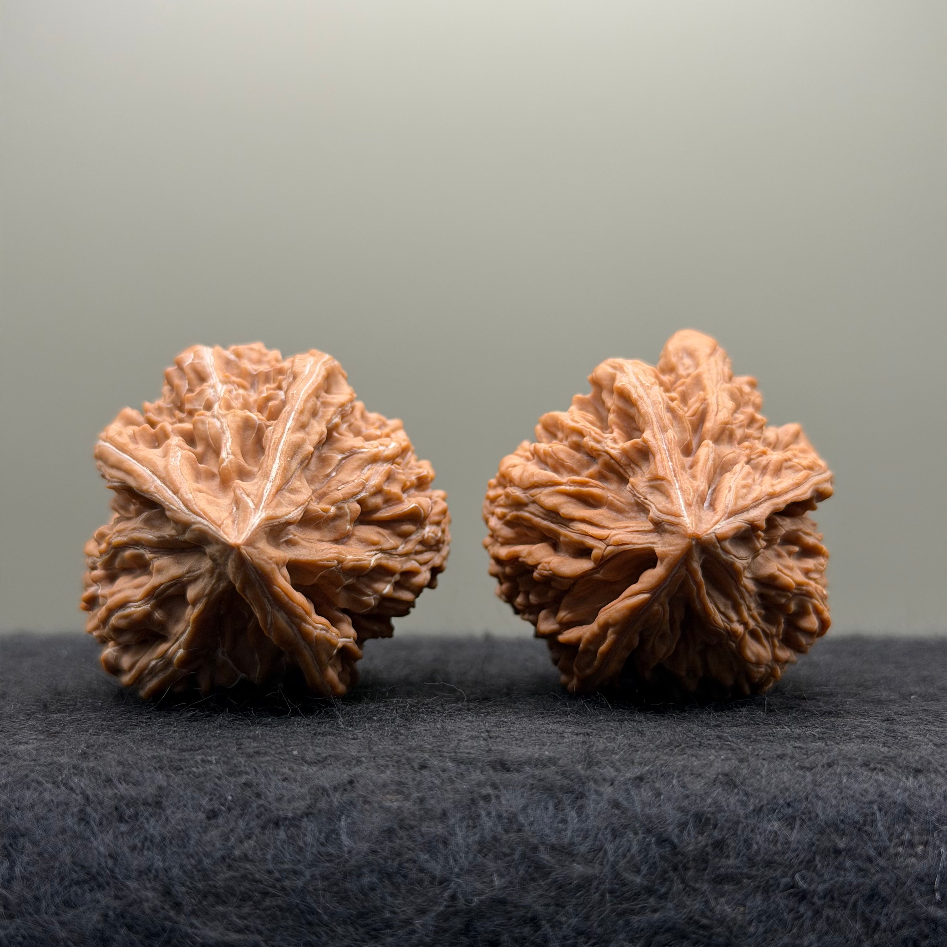 Wenshan "Y" Shape Three-Ridges Wenwan Walnut