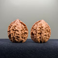 First Love Wenwan Walnut · 34mm · Natural · Entry Ritual