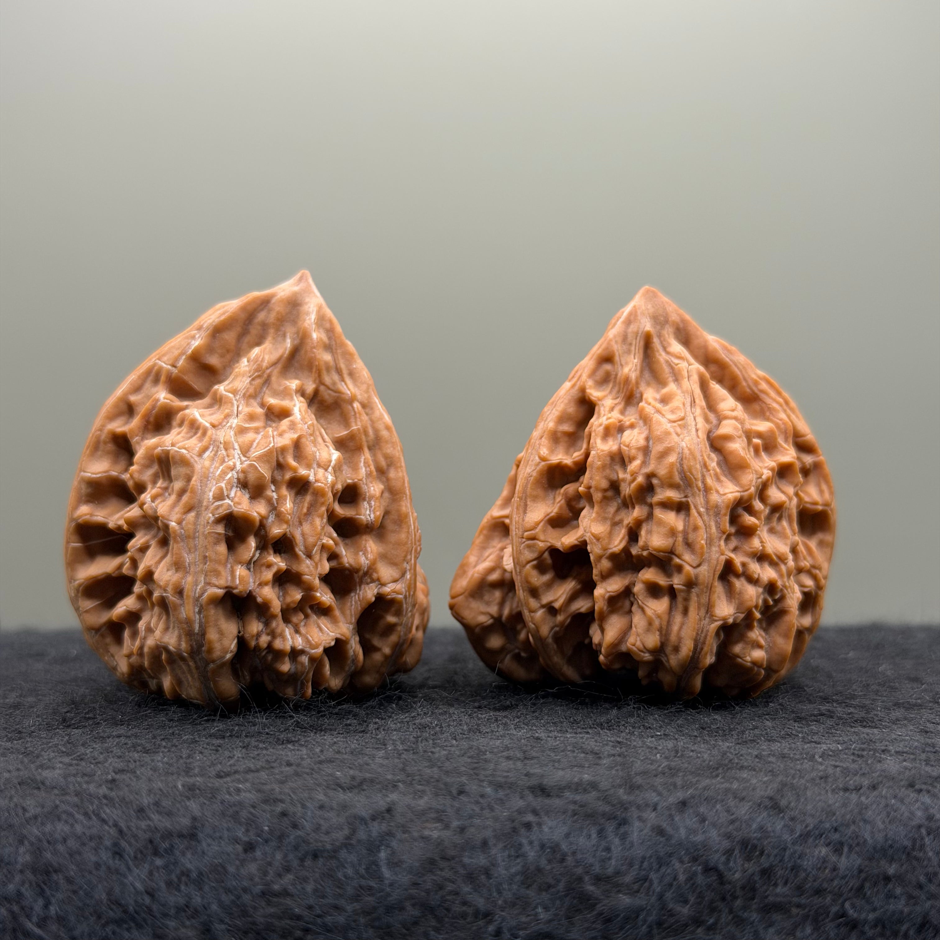 Wenshan "Y" Shape Three-Ridges Wenwan Walnut