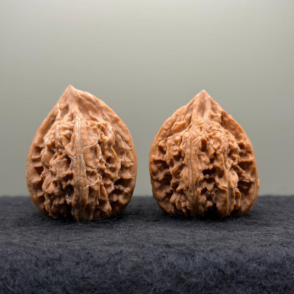 Wenshan "Y" Shape Three-Ridges Wenwan Walnut