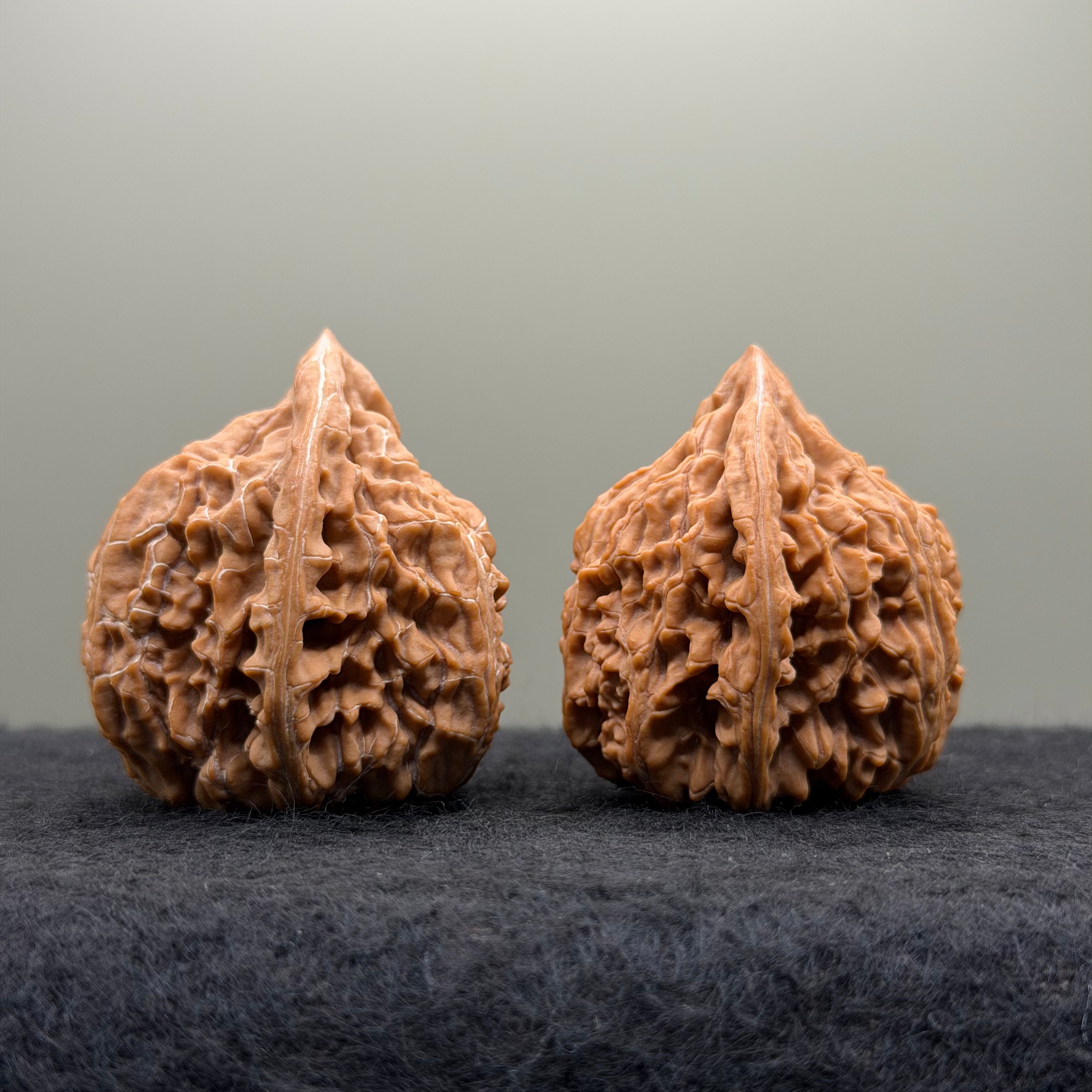 Wenshan "Y" Shape Three-Ridges Wenwan Walnut