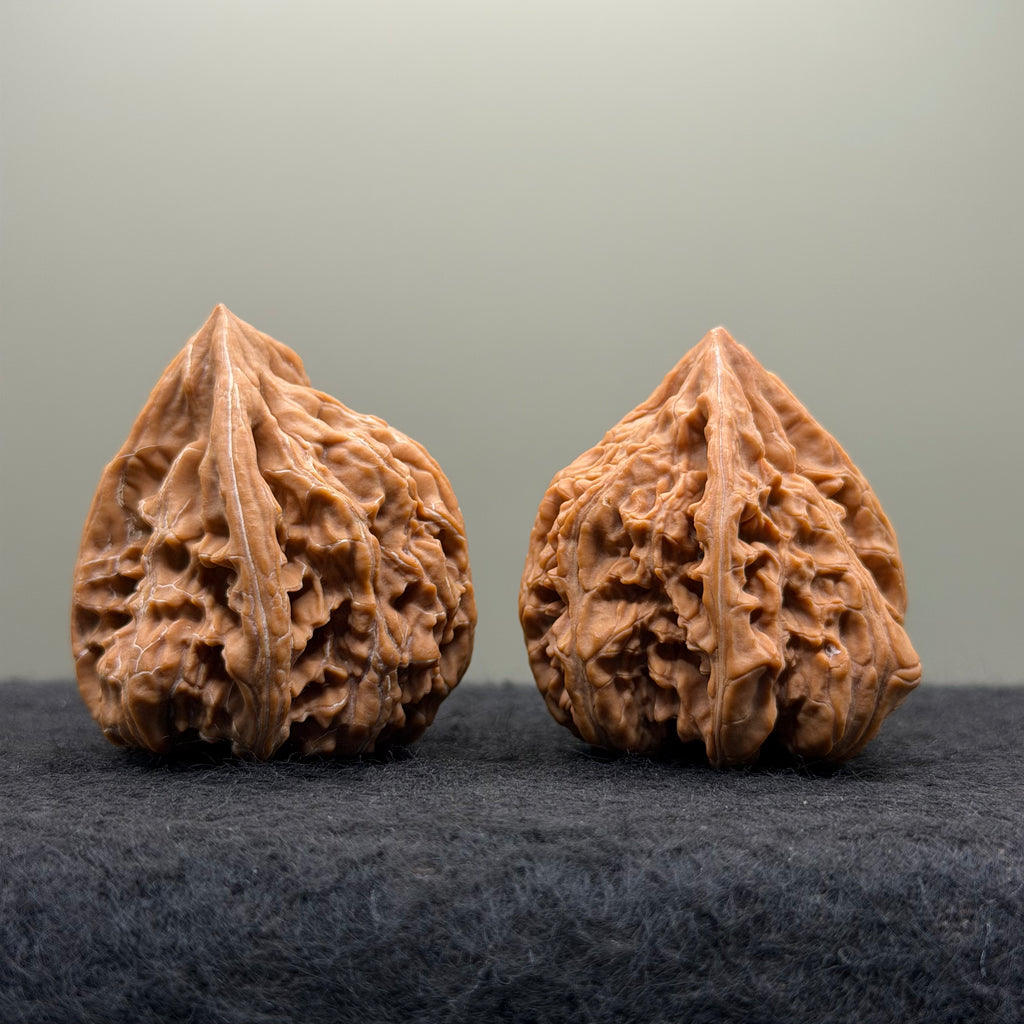 Wenshan "Y" Shape Three-Ridges Wenwan Walnut