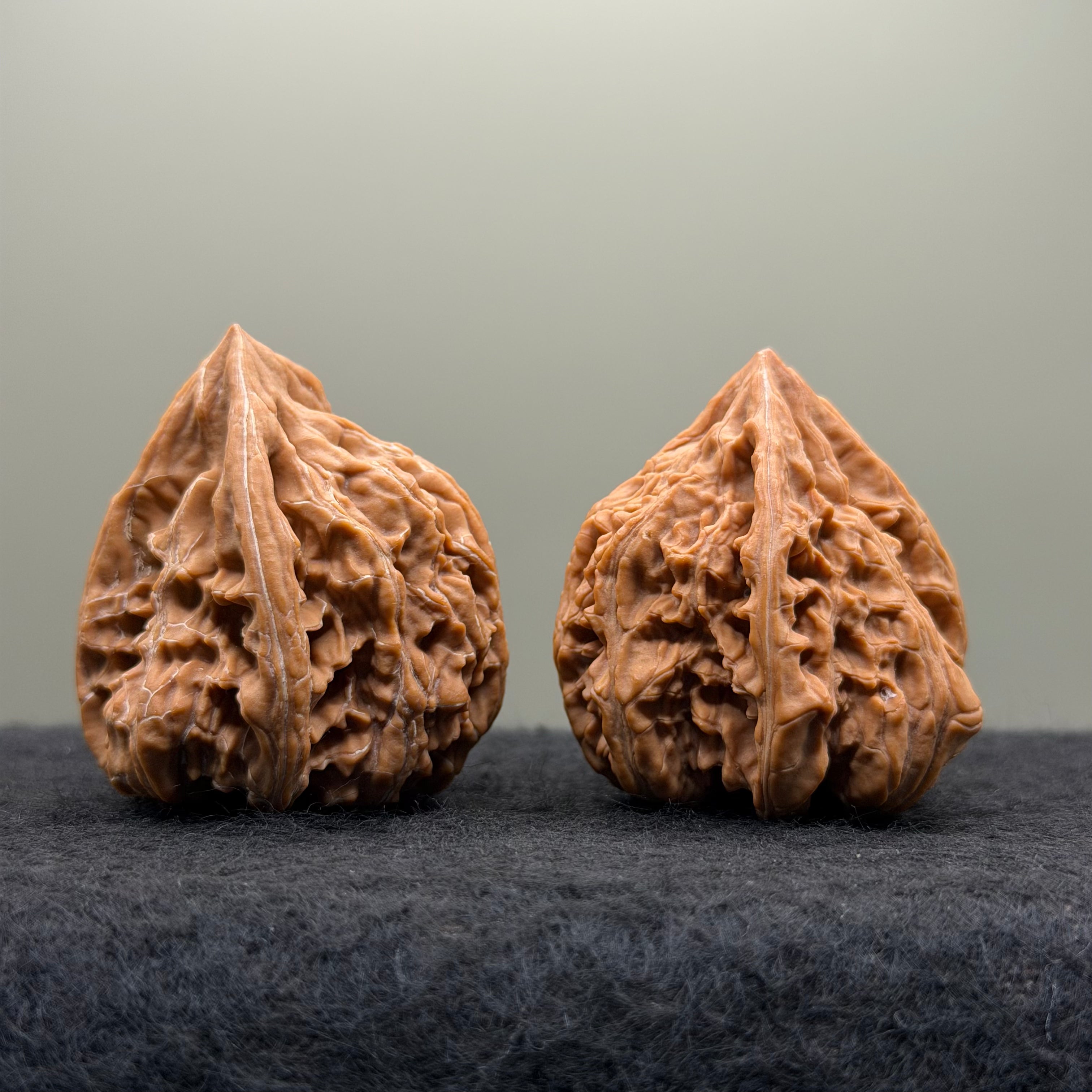 Wenshan "Y" Shape Three-Ridges Wenwan Walnut