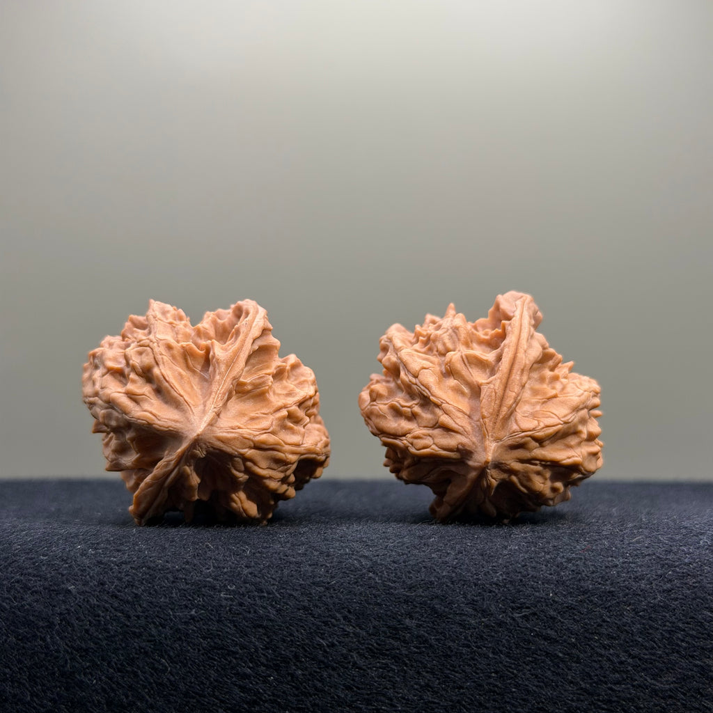 First Love Wenwan Walnut · 34mm · Natural · Entry Ritual