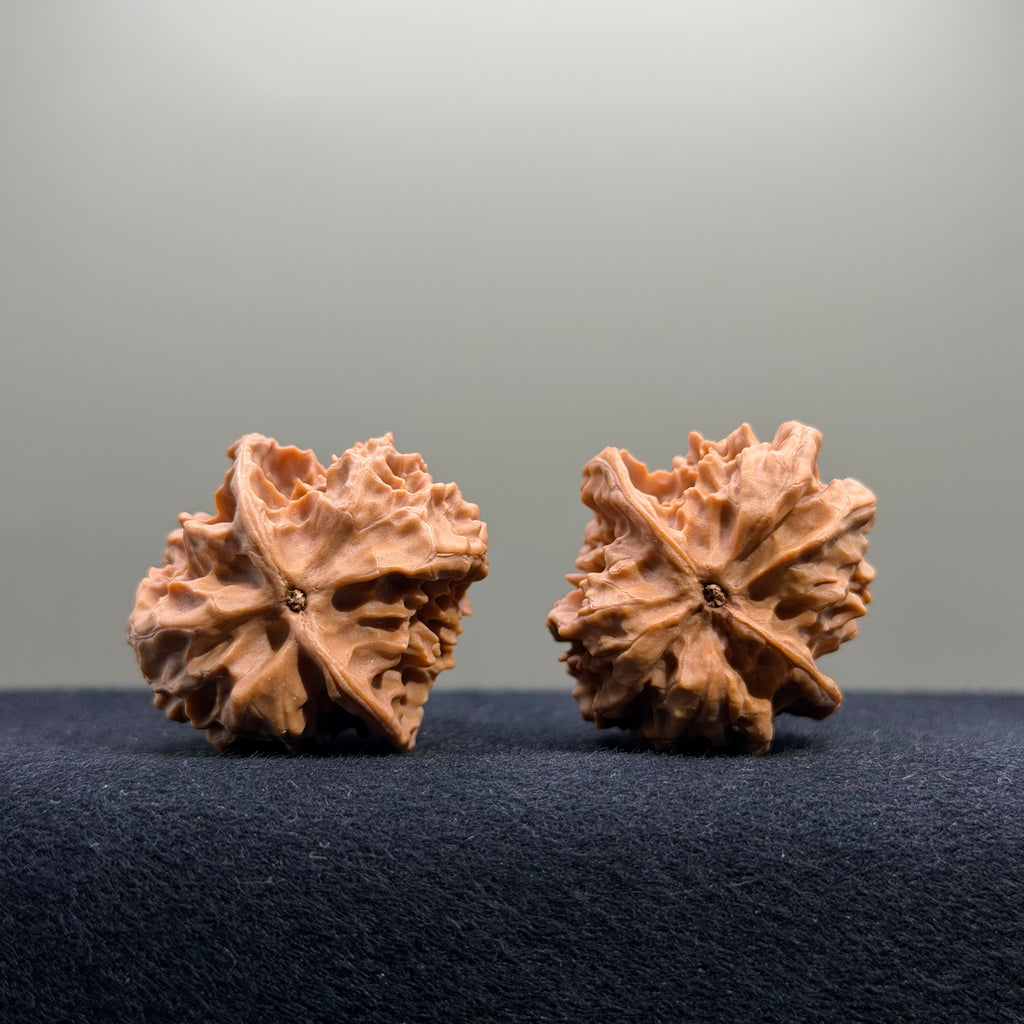 First Love Wenwan Walnut · 34mm · Natural · Entry Ritual