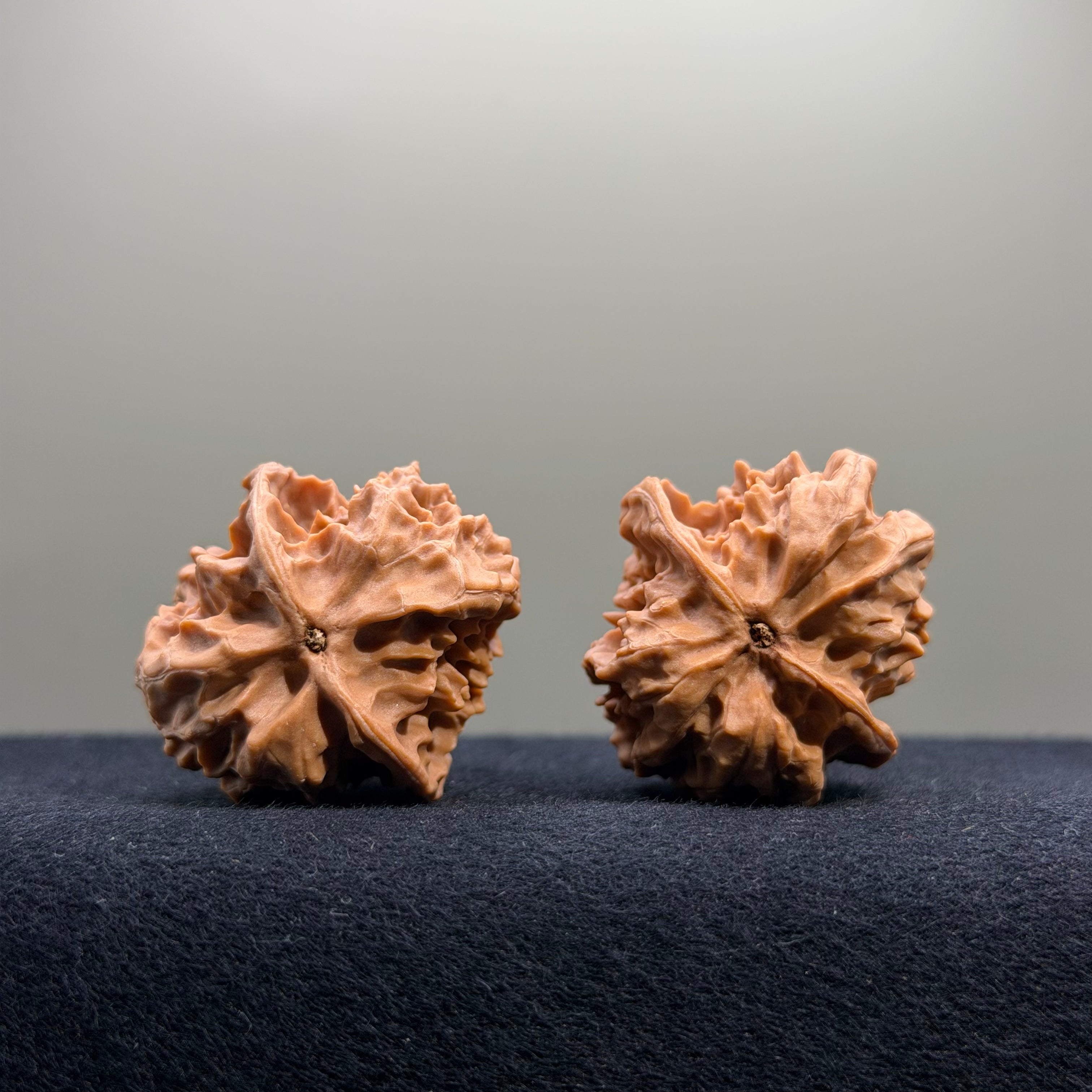 First Love Wenwan Walnut · 34mm · Natural · Entry Ritual