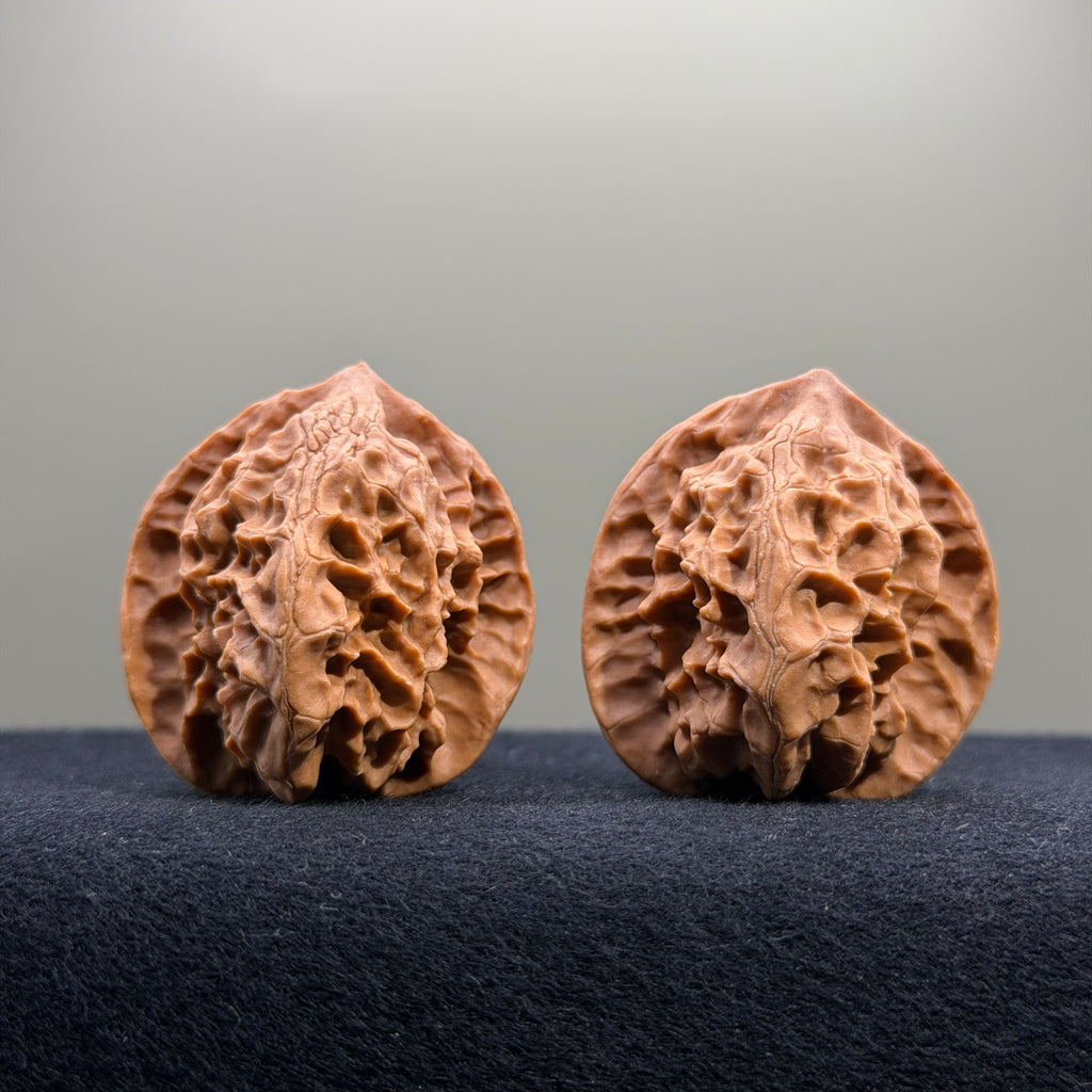 First Love Wenwan Walnut · 37mm · Natural · Entry Ritual