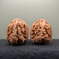 Thick Ribs Lion Head Wenwan Walnut