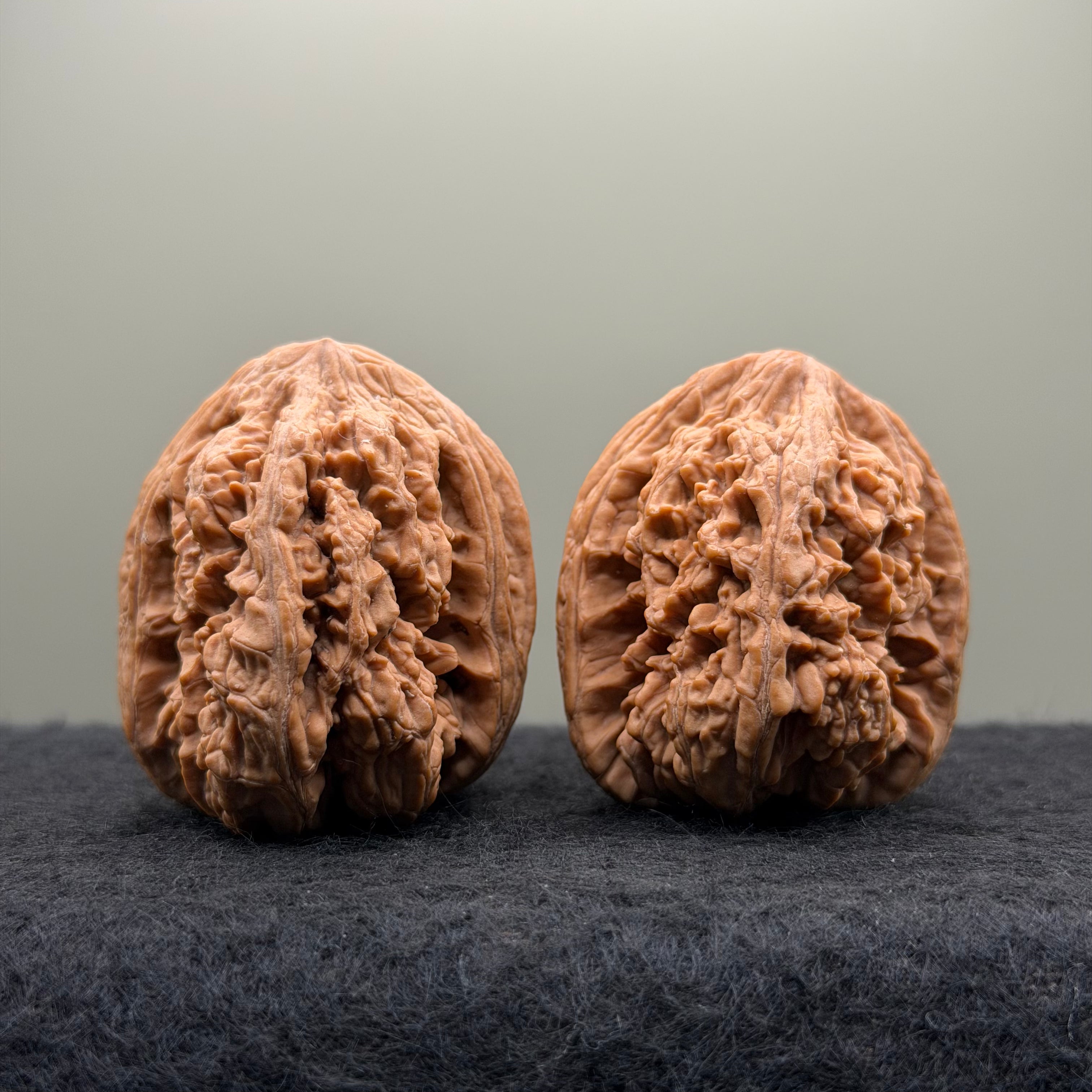 Thick Ribs Lion Head Wenwan Walnut