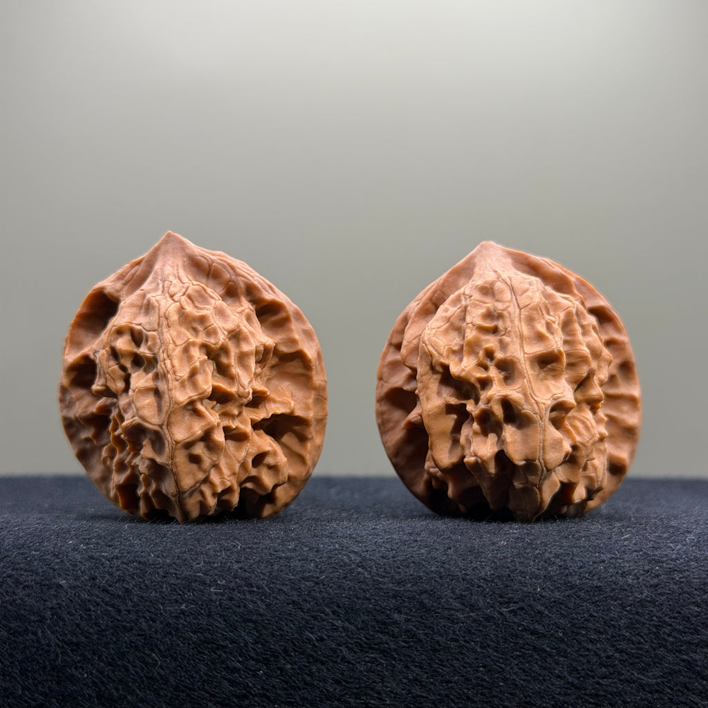 First Love Wenwan Walnut · 37mm · Natural · Entry Ritual