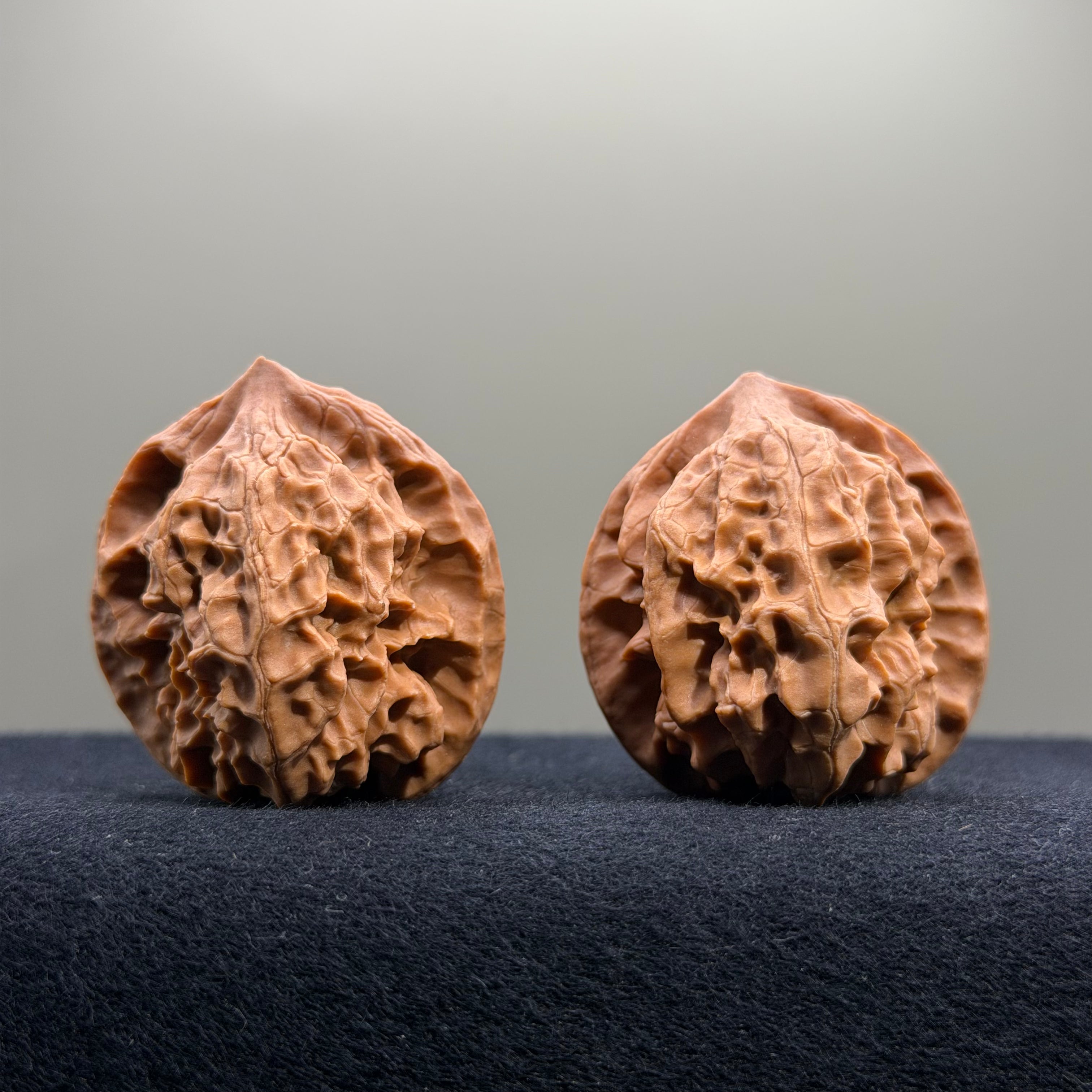 First Love Wenwan Walnut · 37mm · Natural · Entry Ritual