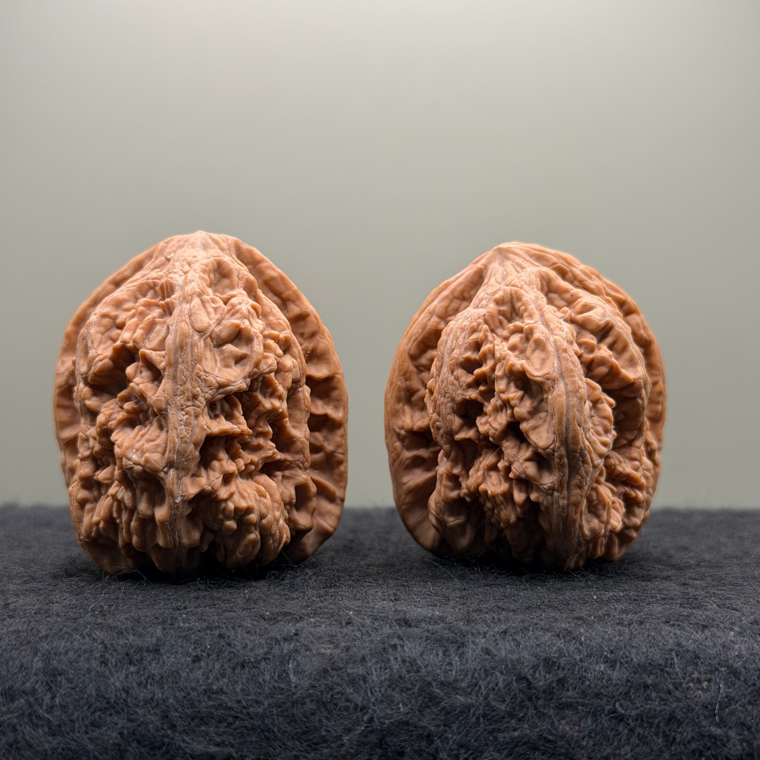 Thick Ribs Lion Head Wenwan Walnut