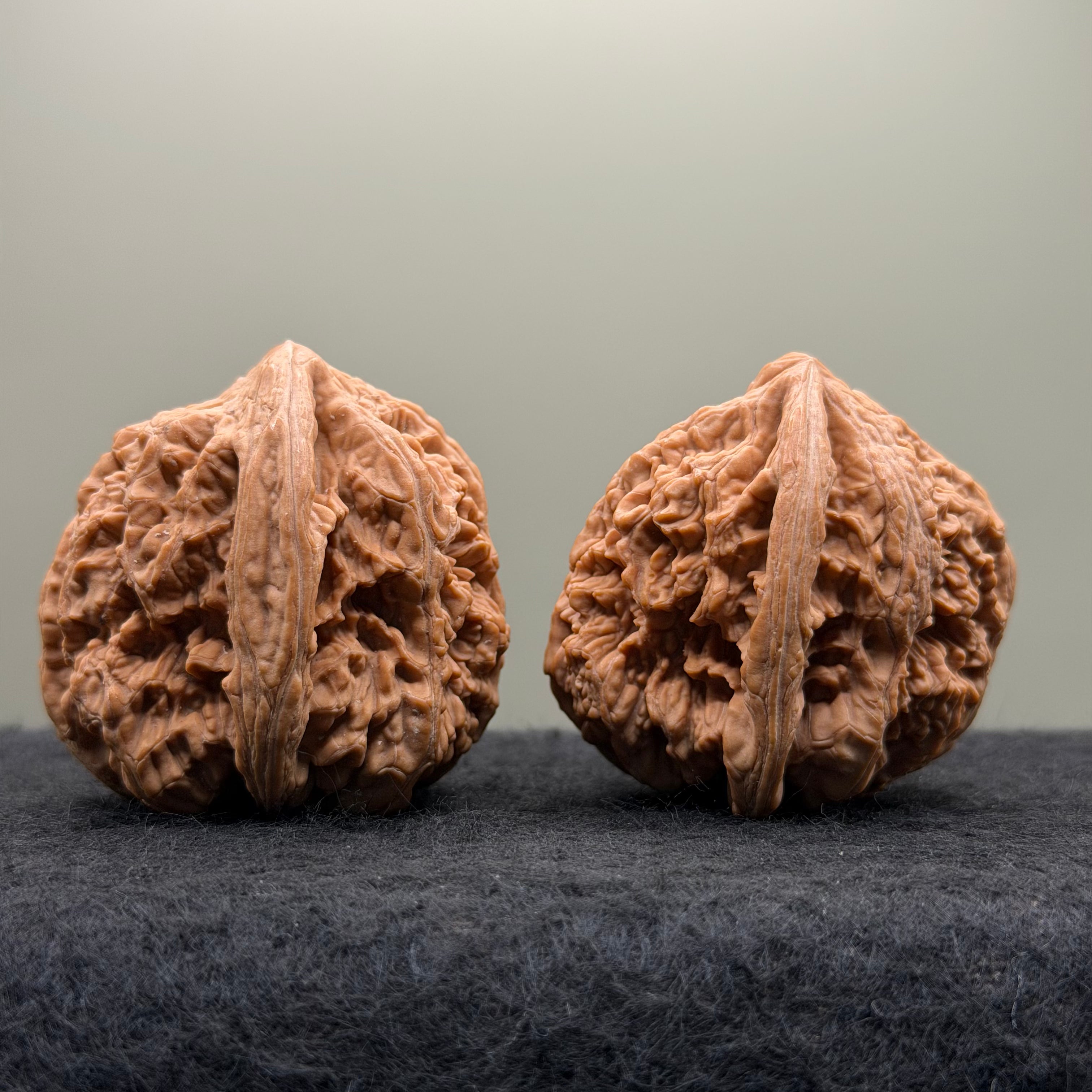 Thick Ribs Lion Head Wenwan Walnut