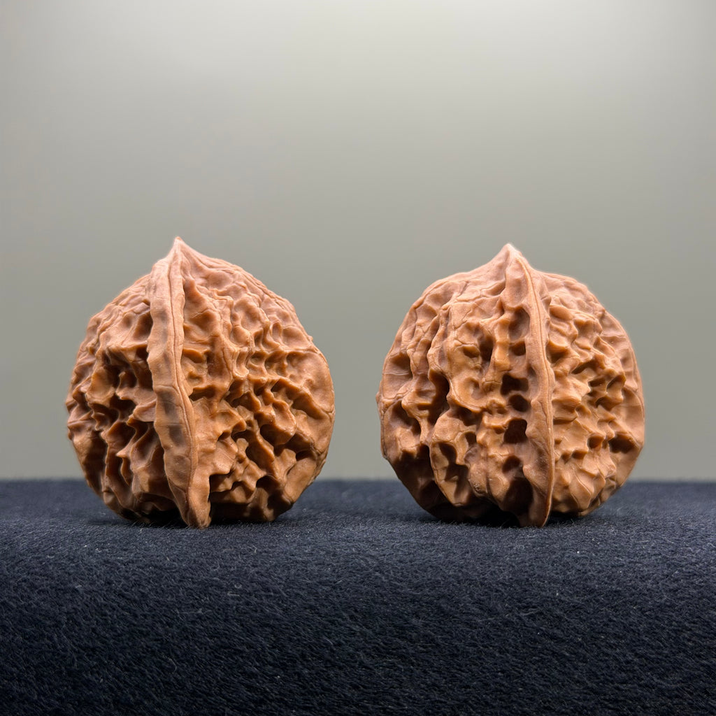 First Love Wenwan Walnut · 37mm · Natural · Entry Ritual