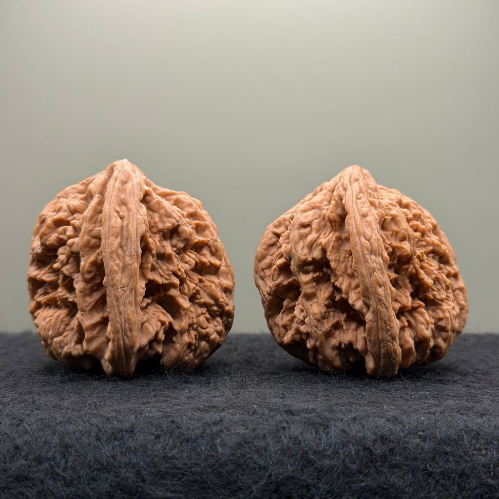 Thick Ribs Lion Head Wenwan Walnut