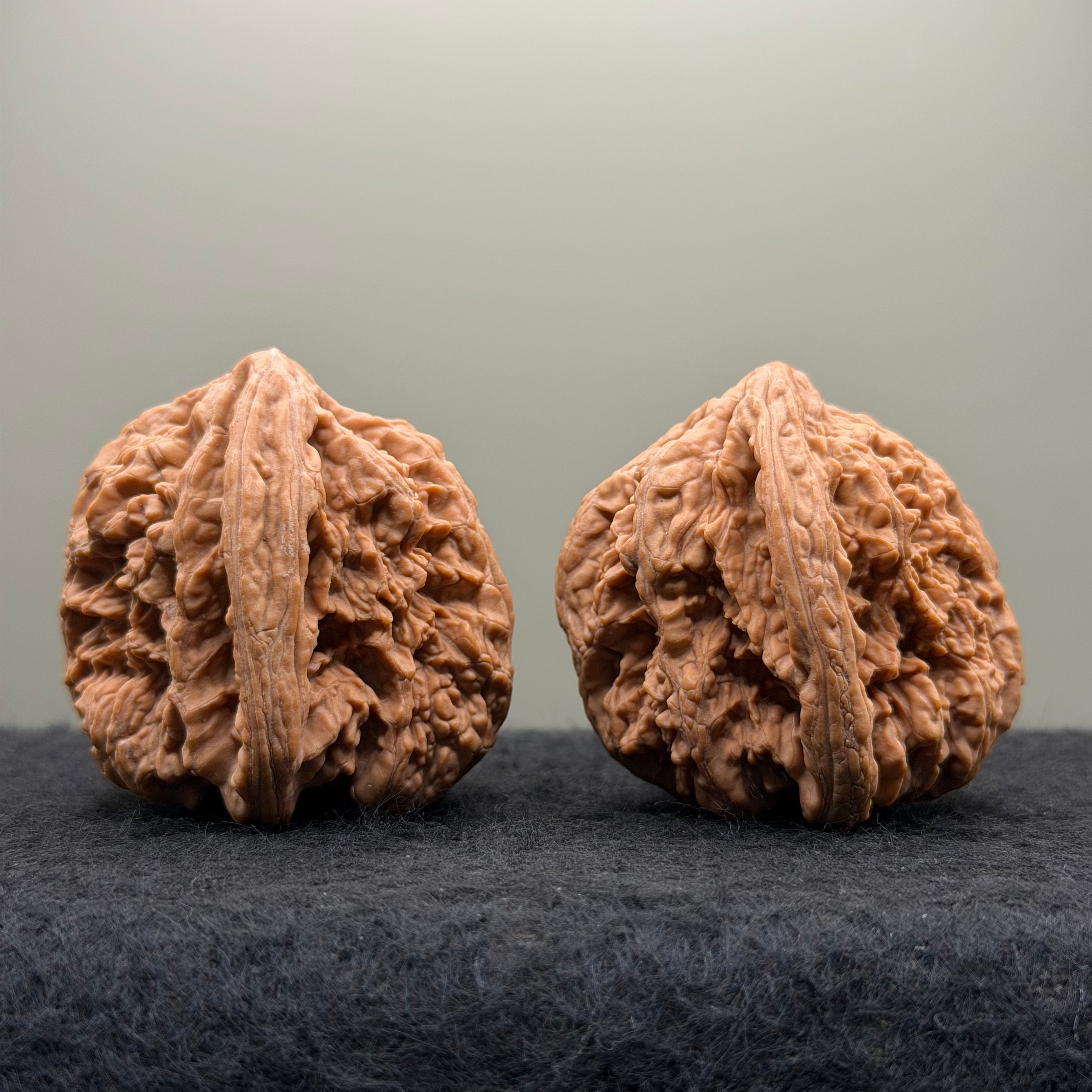 Thick Ribs Lion Head Wenwan Walnut
