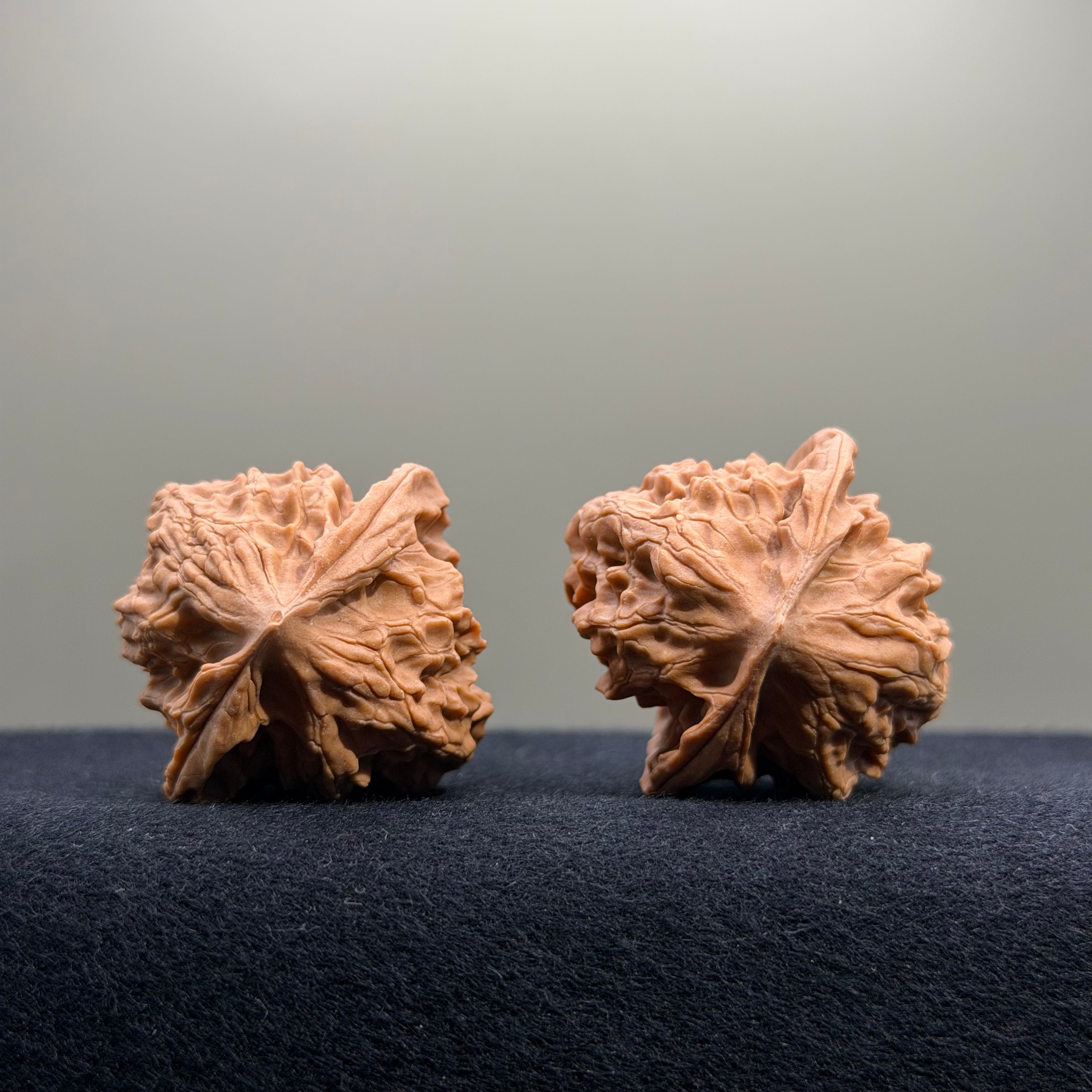 First Love Wenwan Walnut · 37mm · Natural · Entry Ritual