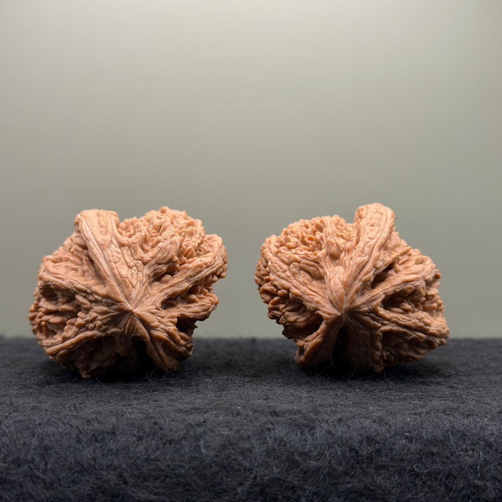 Thick Ribs Lion Head Wenwan Walnut