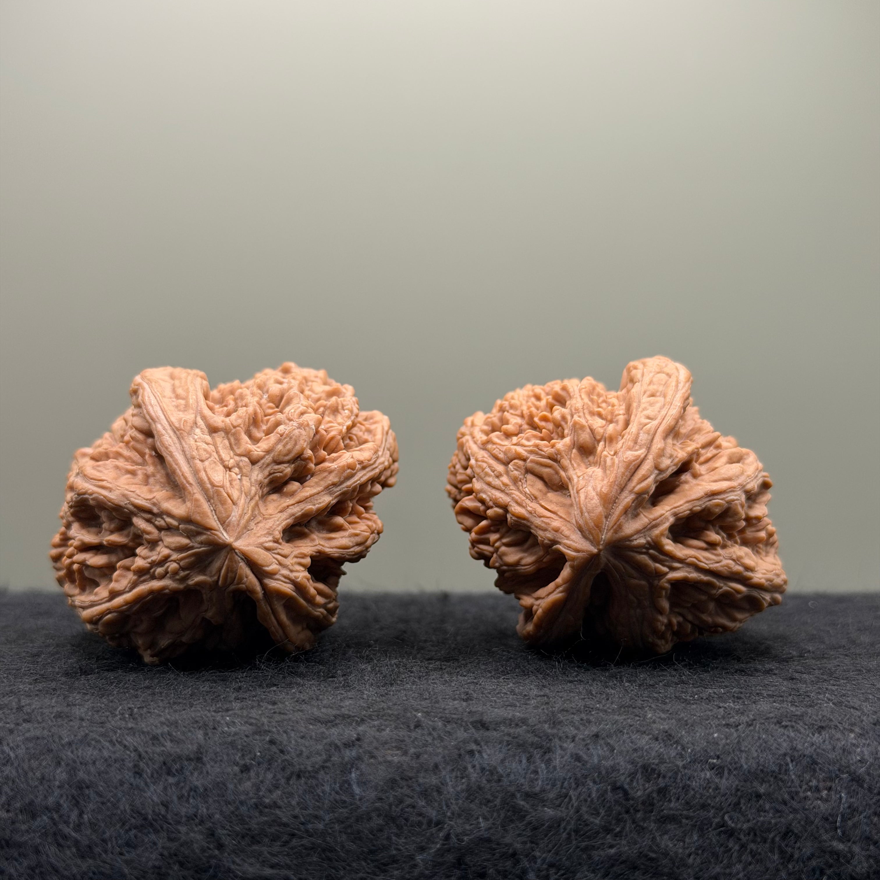 Thick Ribs Lion Head Wenwan Walnut