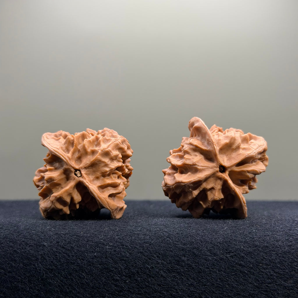 First Love Wenwan Walnut · 37mm · Natural · Entry Ritual