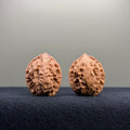 First Love Wenwan Walnut · 26mm · Natural · Entry Ritual