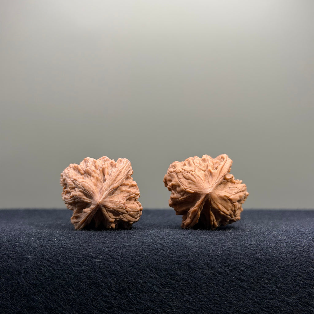 First Love Wenwan Walnut · 26mm · Natural · Entry Ritual