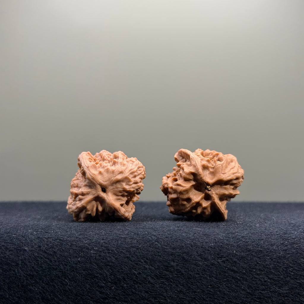 First Love Wenwan Walnut · 26mm · Natural · Entry Ritual