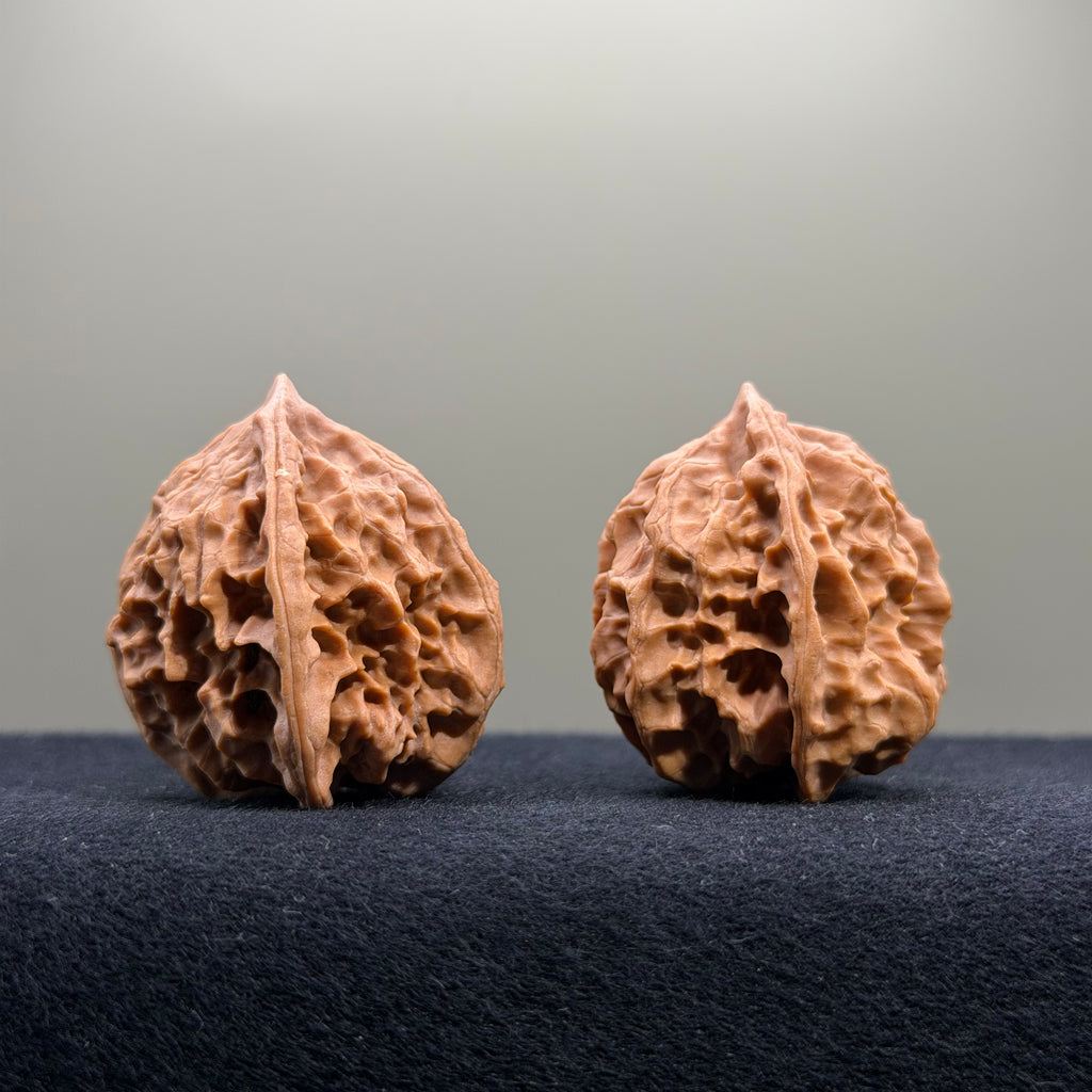 First Love Wenwan Walnut · 35mm · Natural · Entry Ritual