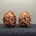 Chicken Heart Wenwan Walnut