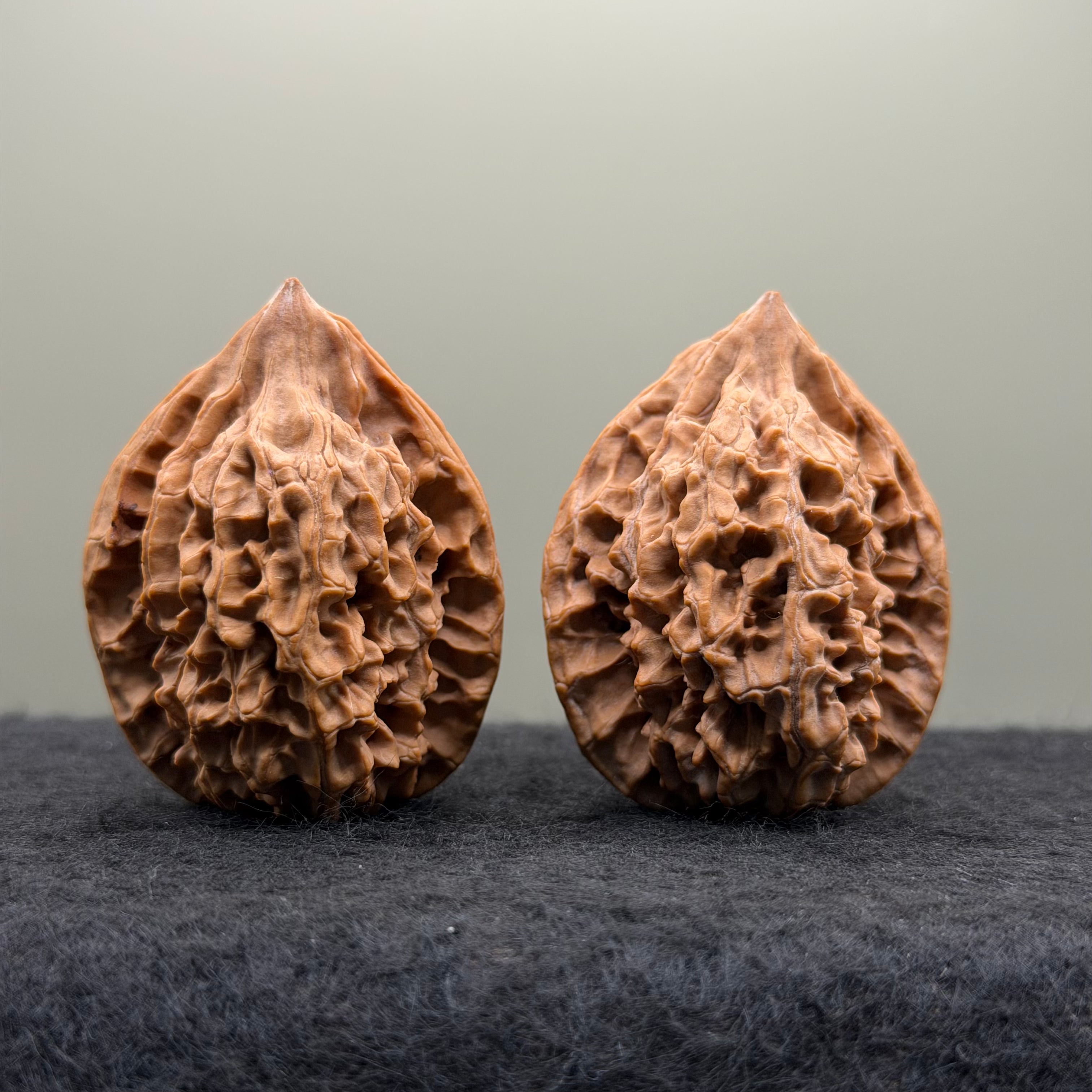 Chicken Heart Wenwan Walnut