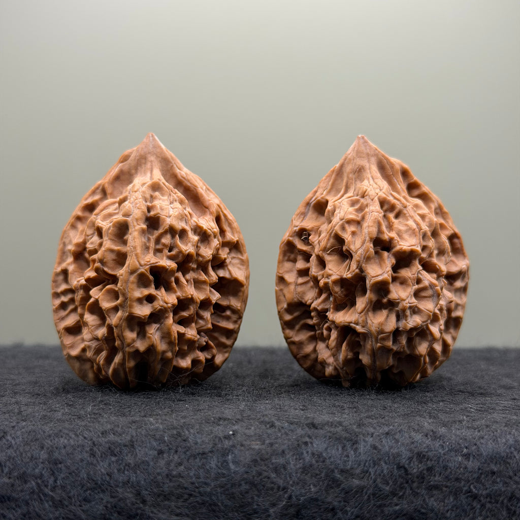 Chicken Heart Wenwan Walnut