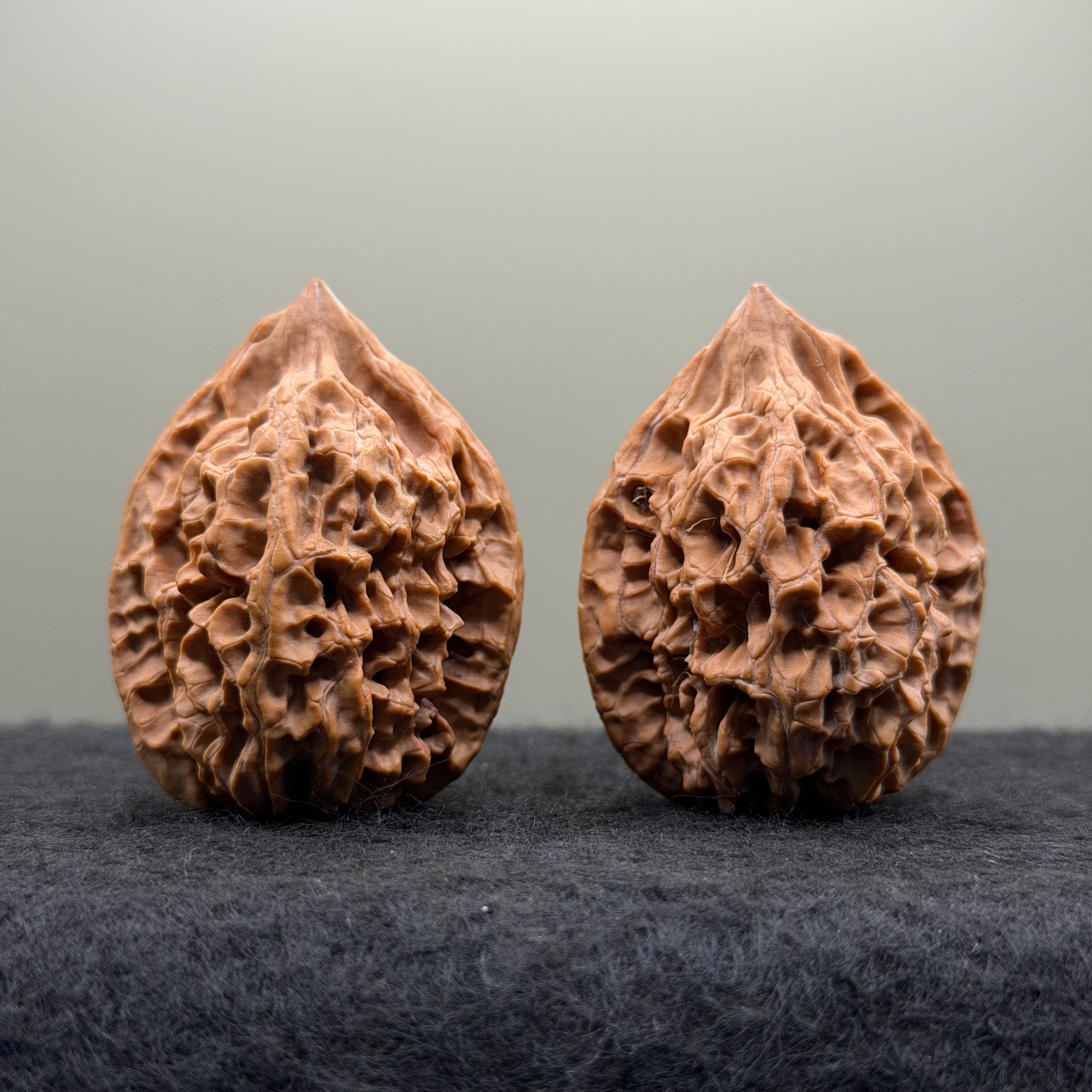 Chicken Heart Wenwan Walnut