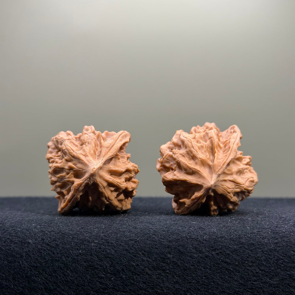 First Love Wenwan Walnut · 35mm · Natural · Entry Ritual