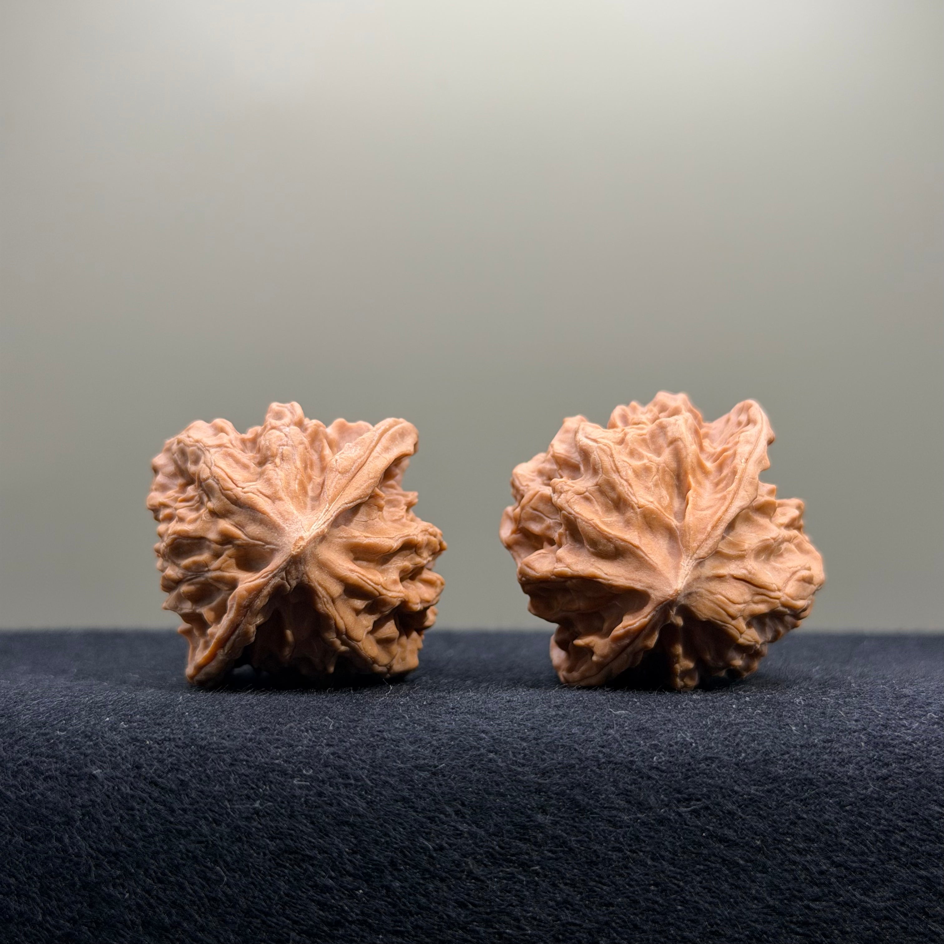 First Love Wenwan Walnut · 35mm · Natural · Entry Ritual