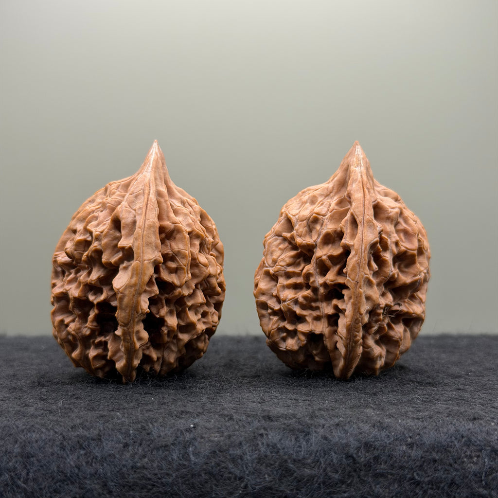 Chicken Heart Wenwan Walnut