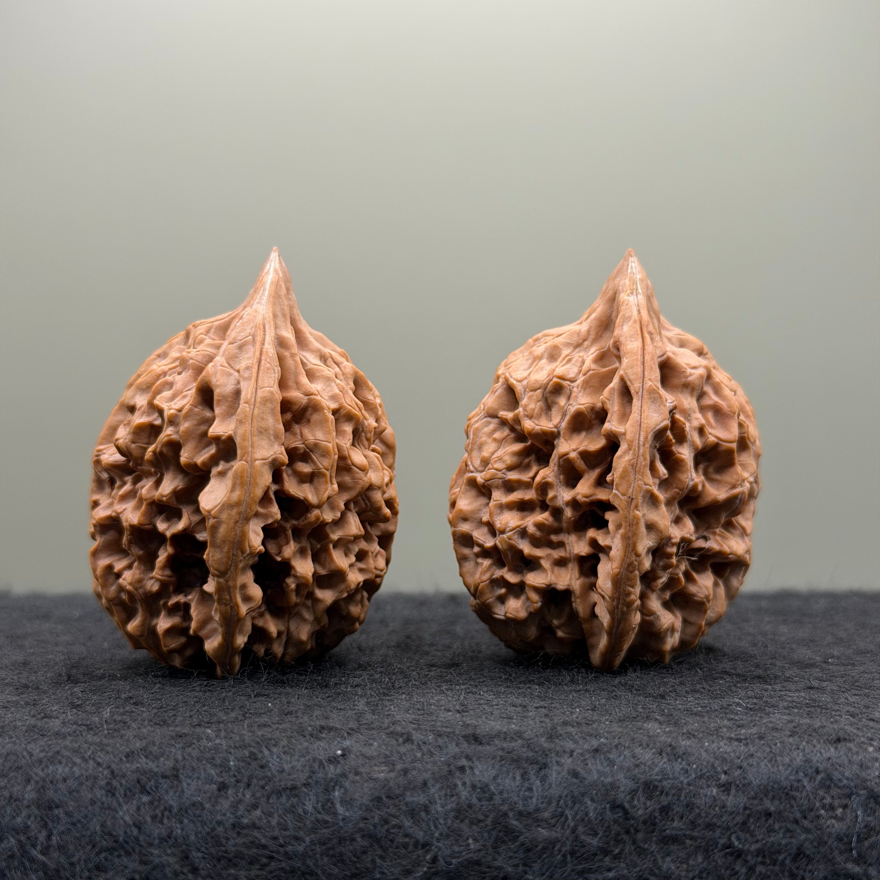 Chicken Heart Wenwan Walnut