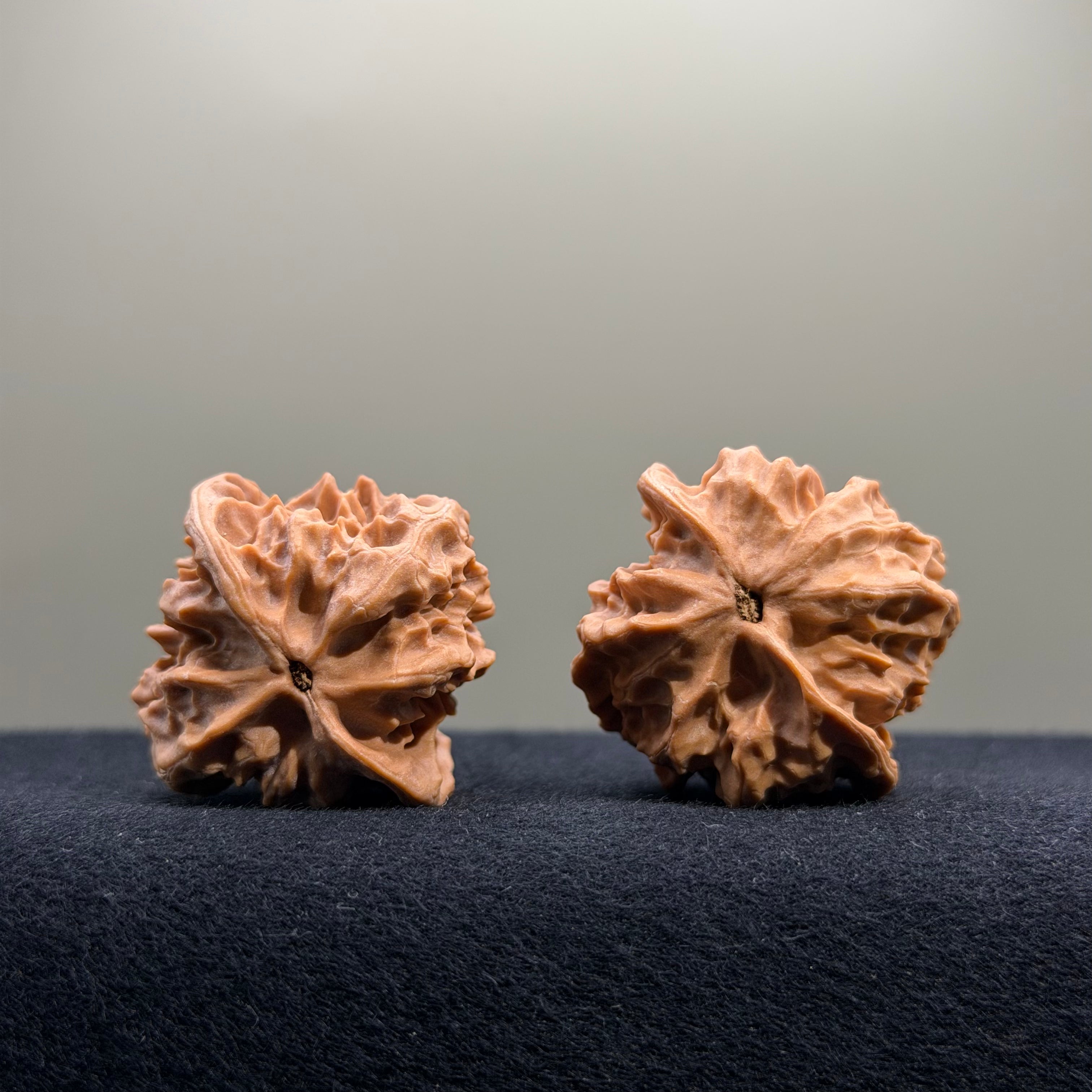 First Love Wenwan Walnut · 35mm · Natural · Entry Ritual